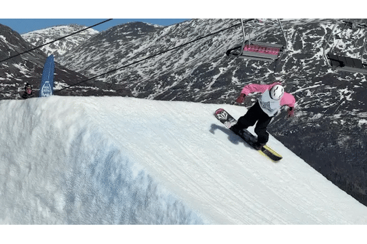 Hedgehog Dryer sponsors The Norwegian Snowboard Federation