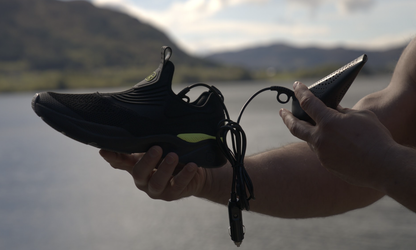 Hedgehog DRIVE - 12 volt for car