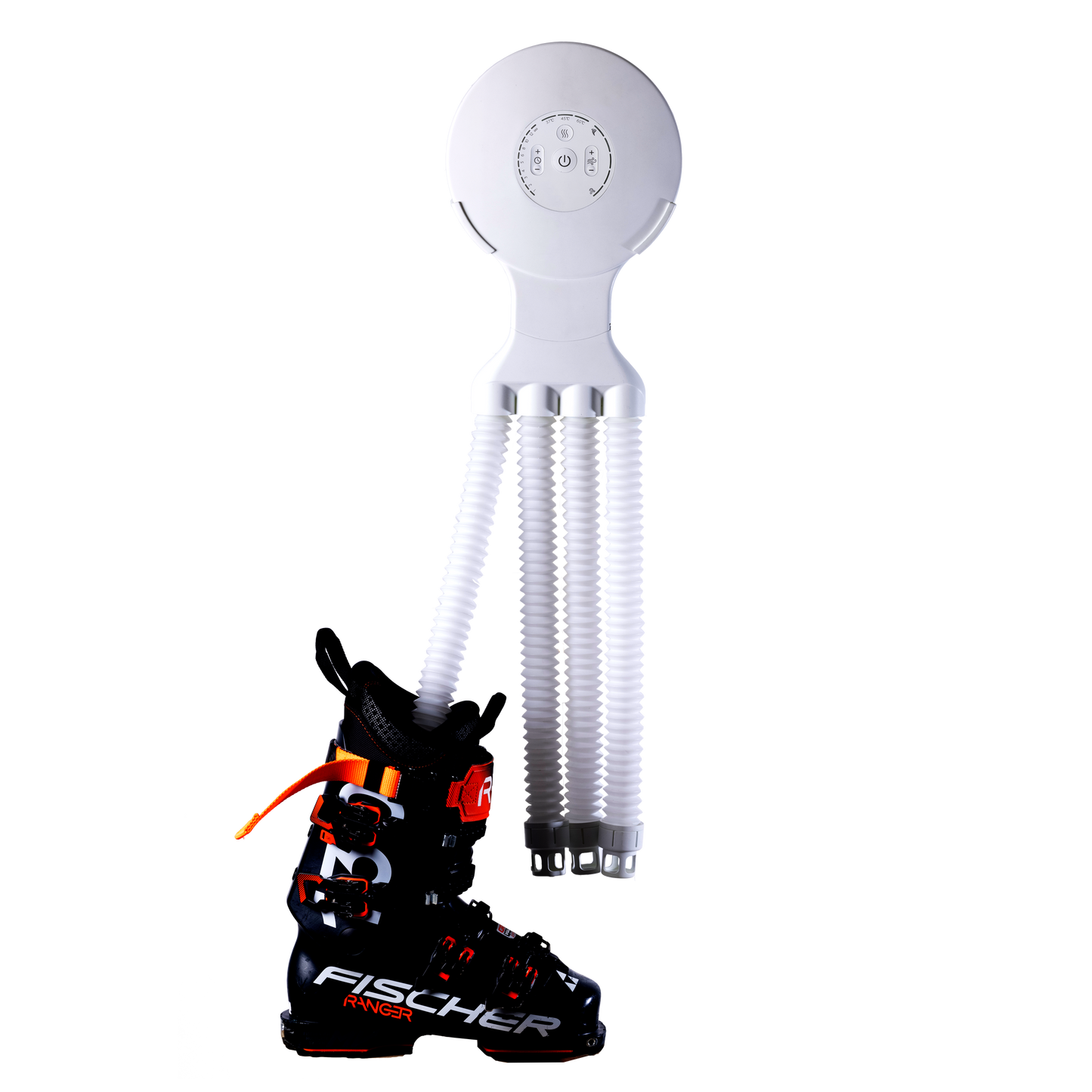 Octopus White
