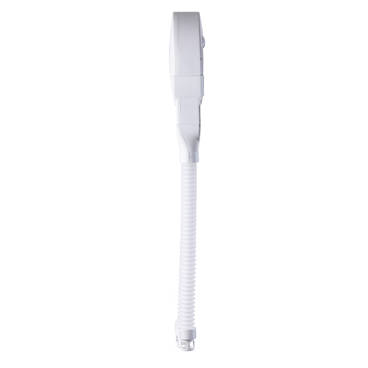Octopus White